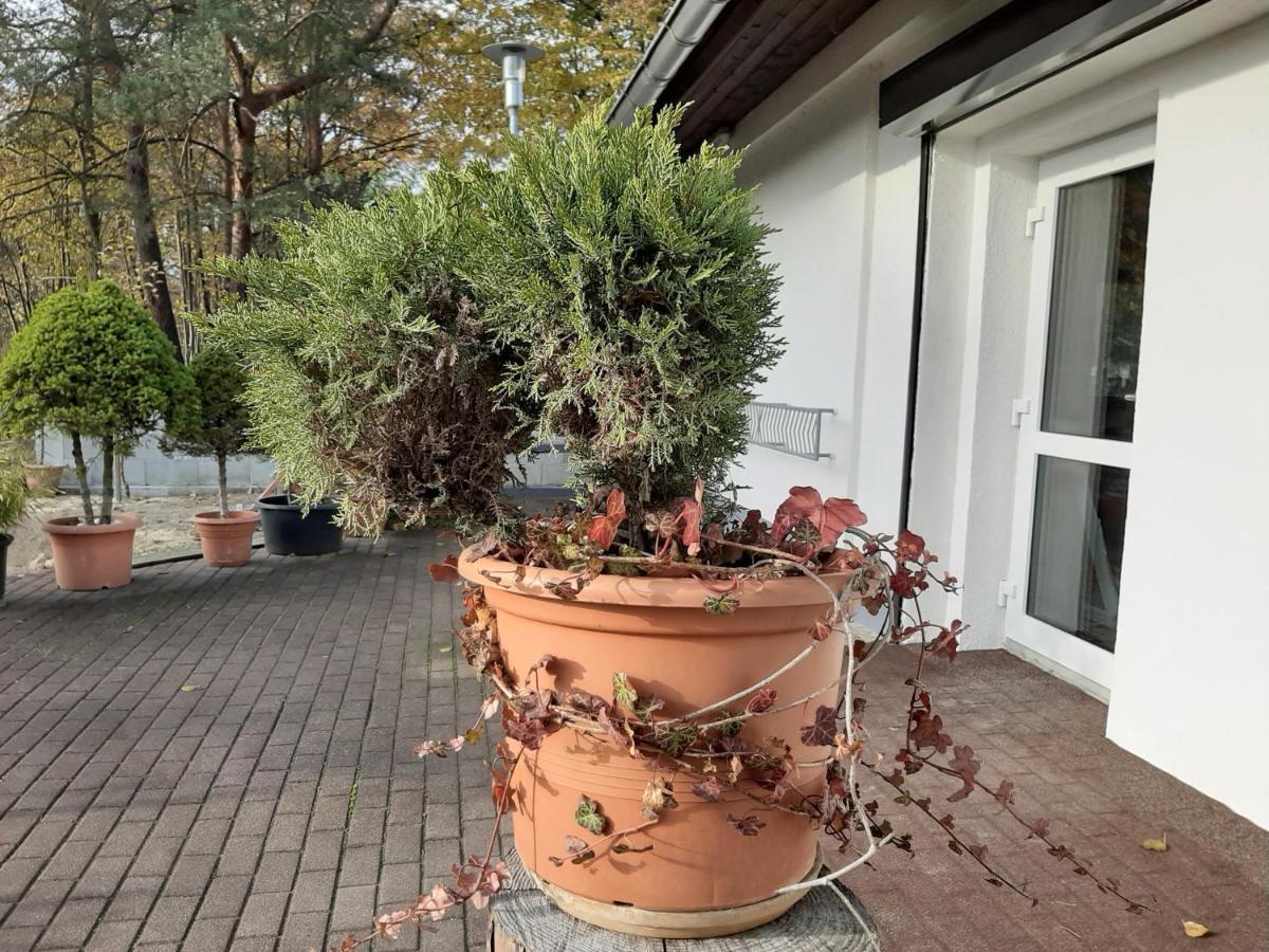 Hotel Landlust! Hoyerswerda Esterno foto