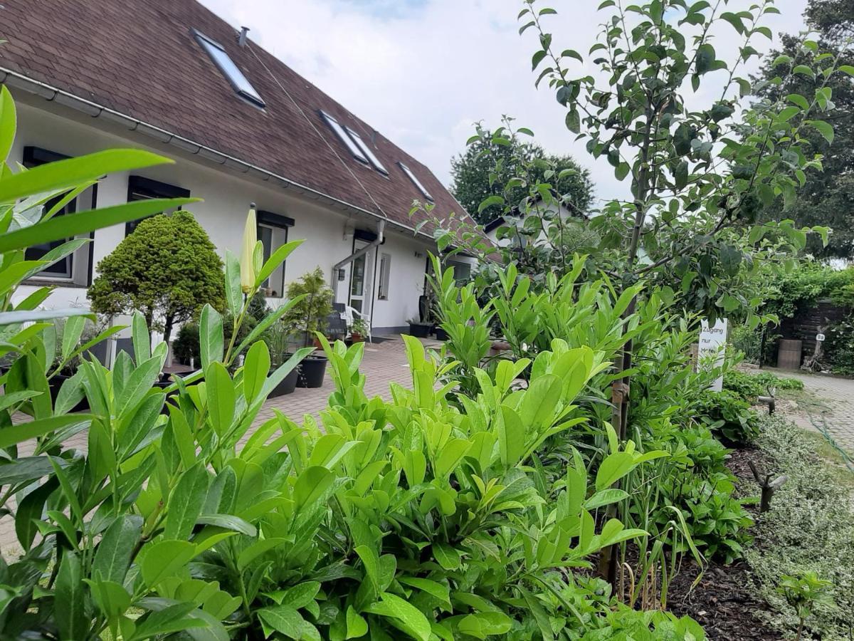 Hotel Landlust! Hoyerswerda Esterno foto